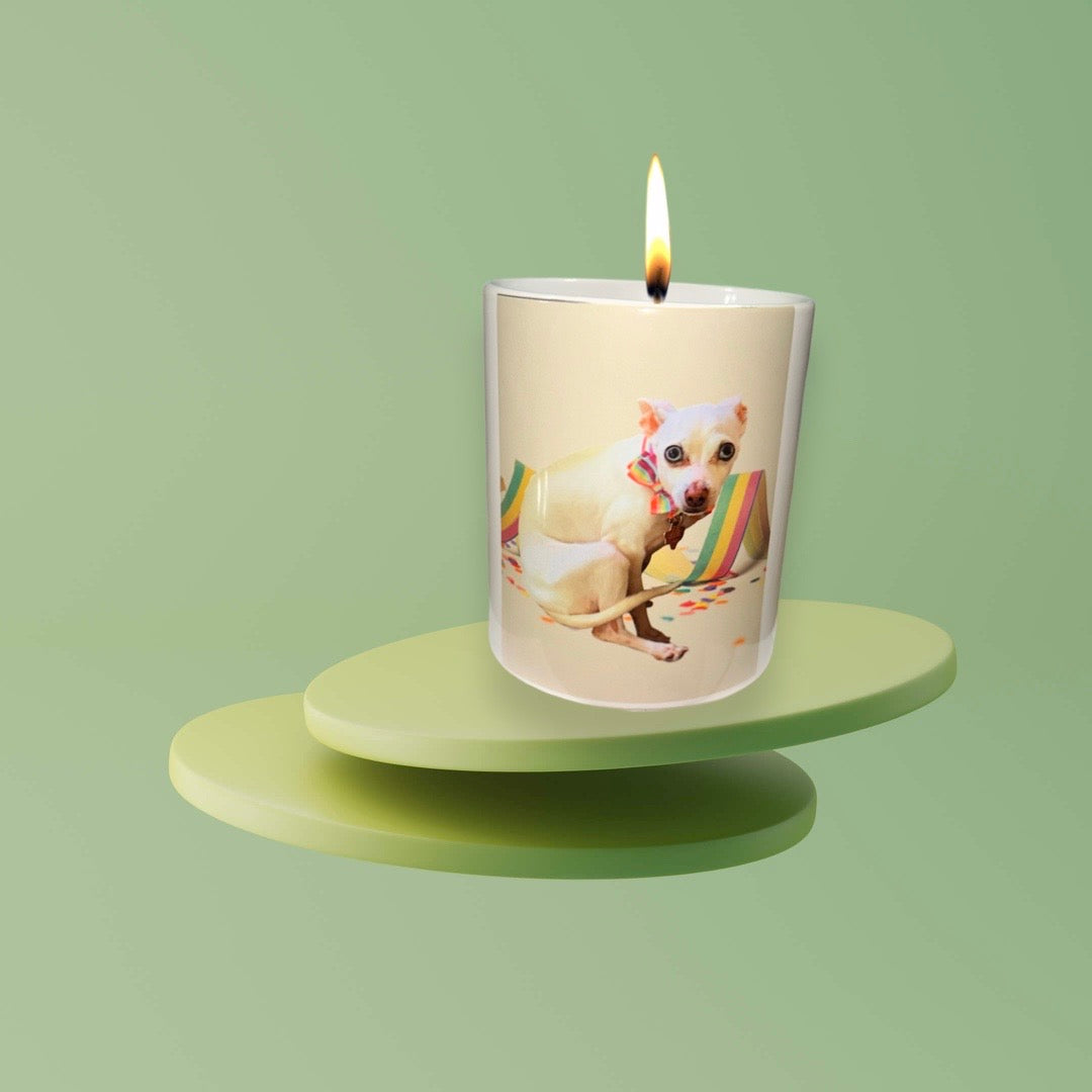 Personalized pet candles